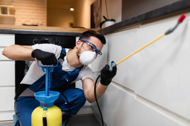Best Flea Control Services  in Pasadena Hills, FL