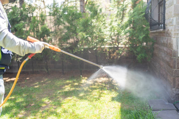 Best Cockroach Control Services  in Pasadena Hills, FL
